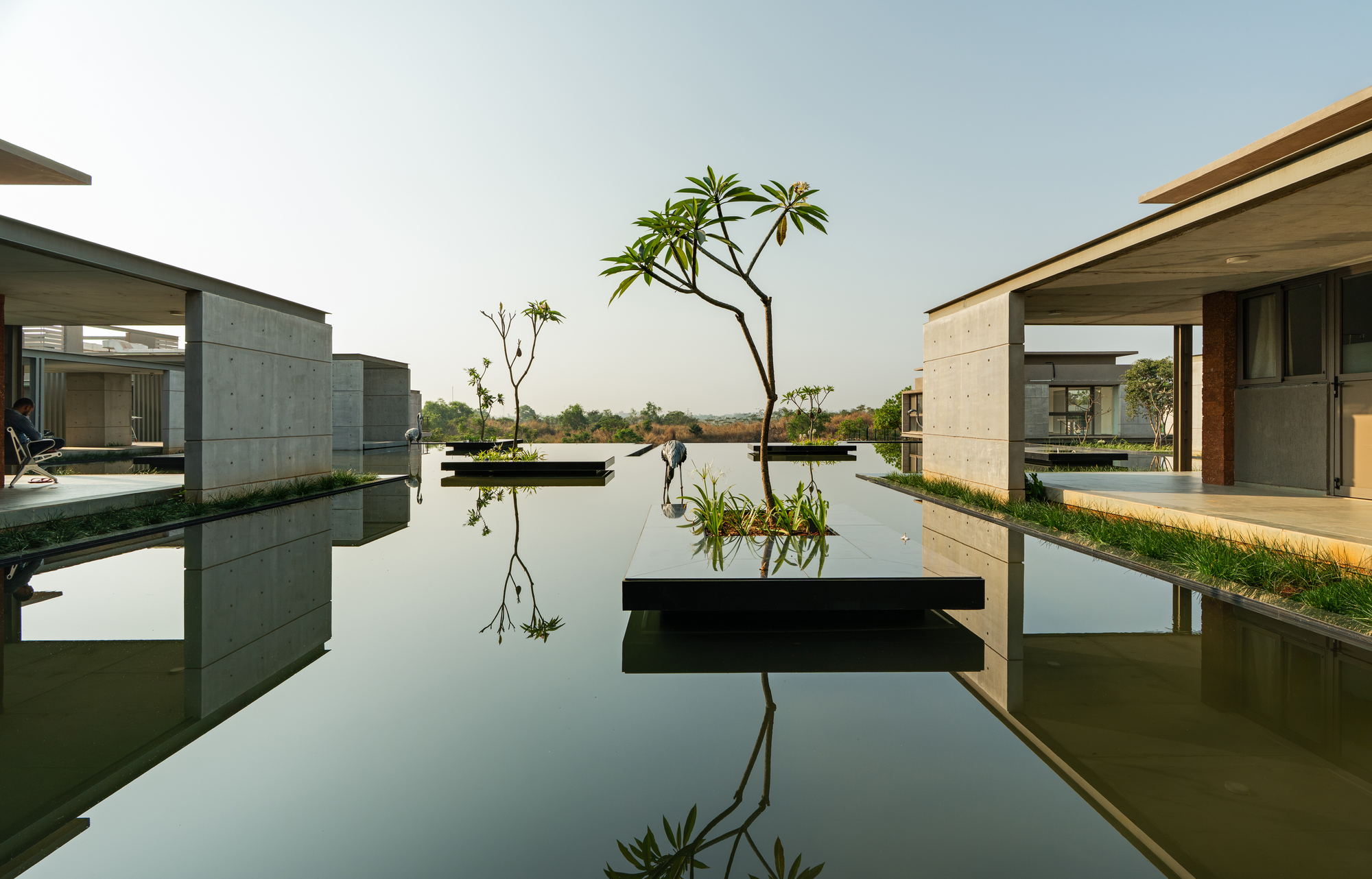 Wide view across the reflecting pool between the ward wings with a floating planter in the foreground