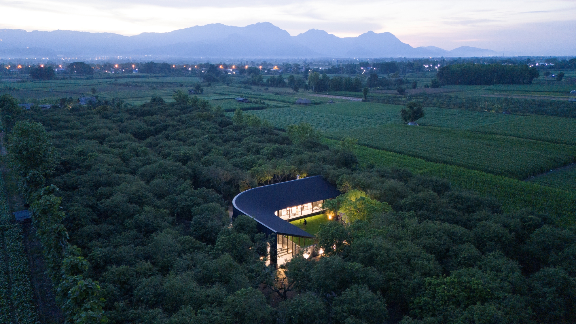 Aerial dusk view of the U-shaped black roof threading through the mango grove