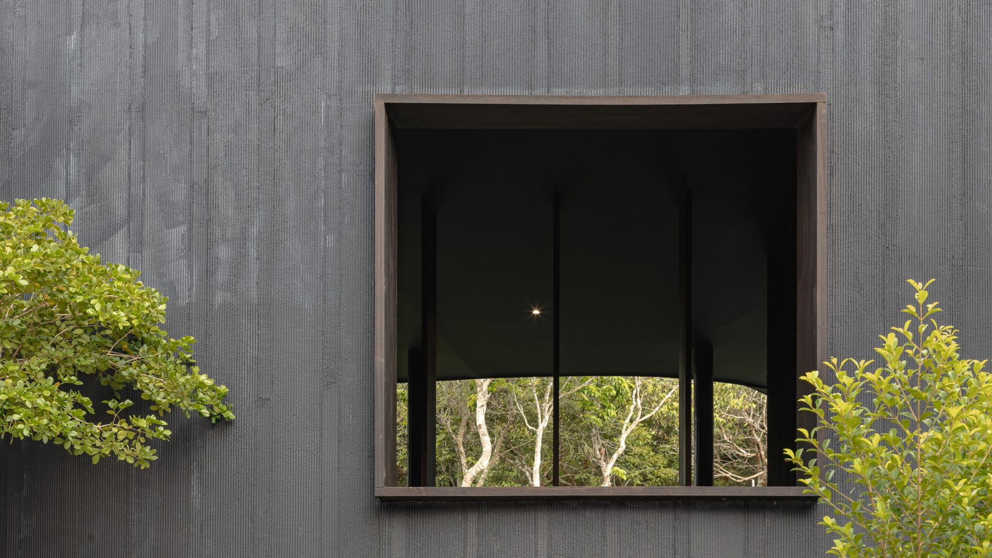 Deep-set square window punched into a charred-timber facade with leaves in the foreground