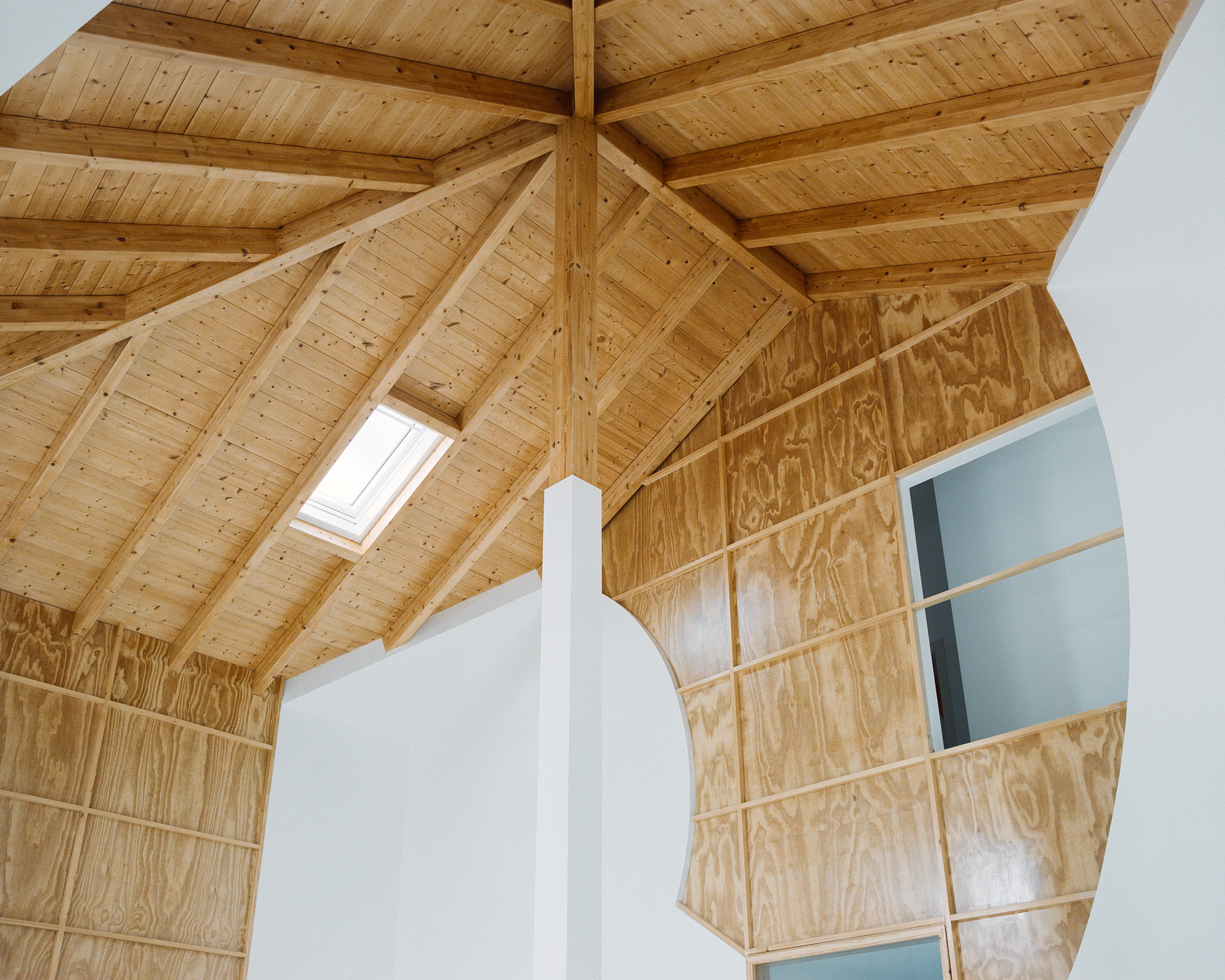 Looking up at the new pine roof structure with the curved plywood walls and a small skylight
