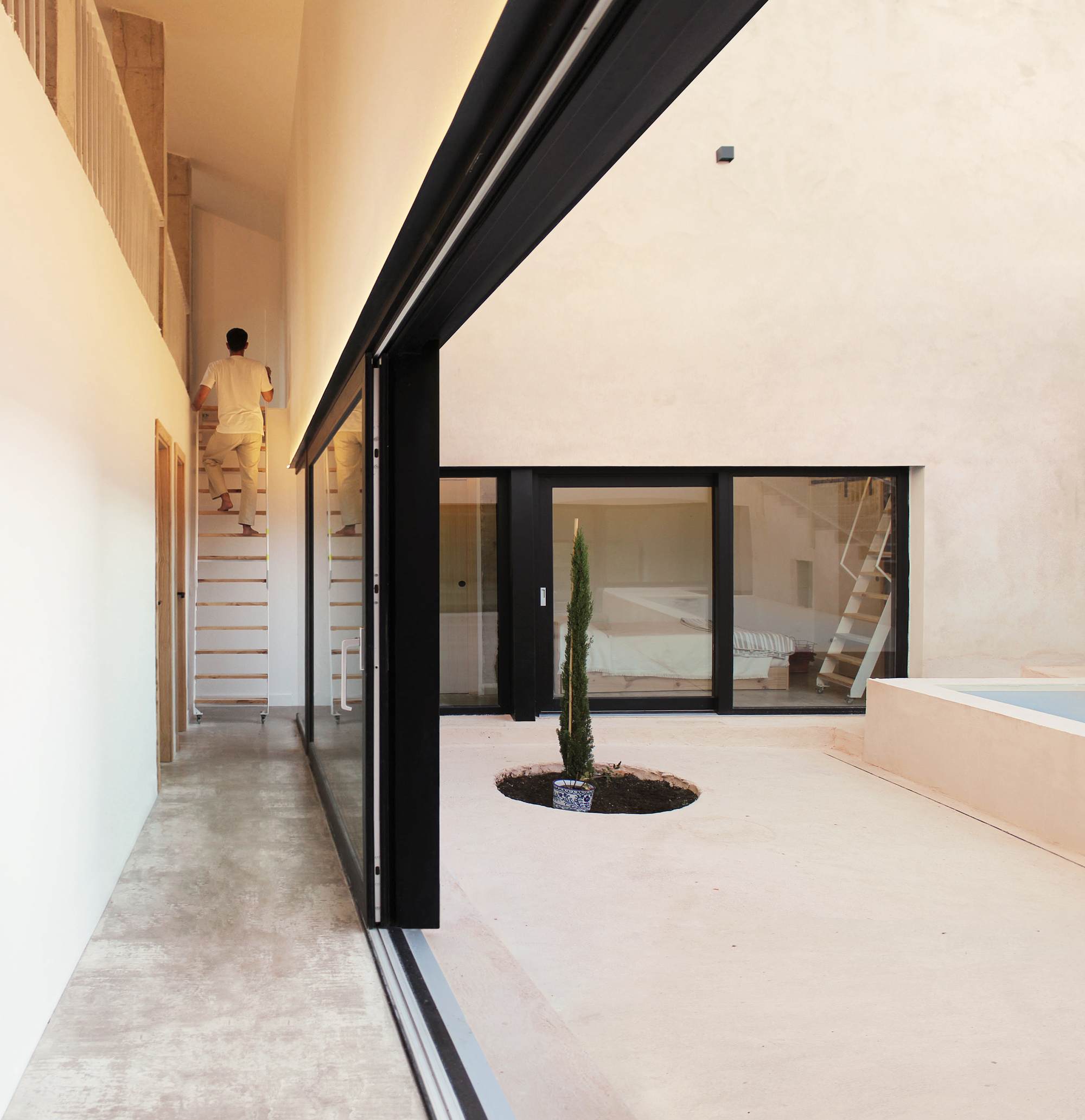 View along the courtyard glazing toward the bedroom and a small planted tree in the centre