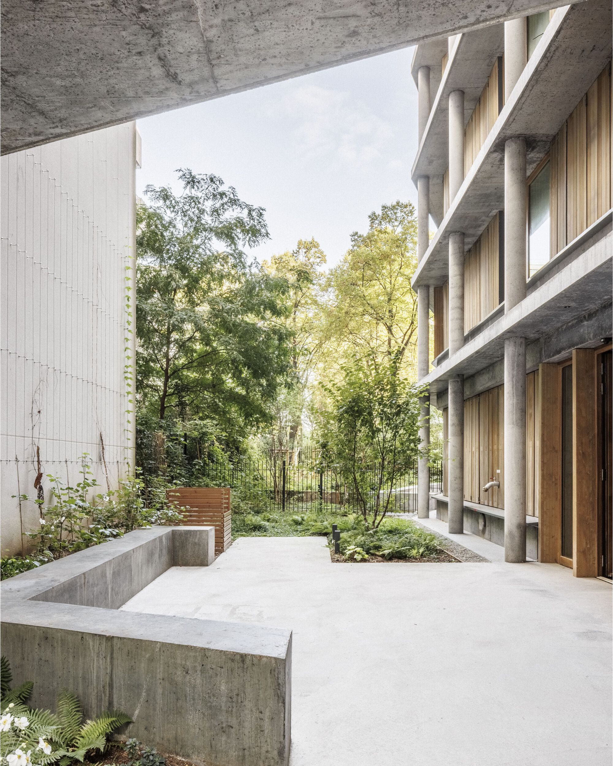 Concrete and timber loggia at ground level looking out into a wild planted edge