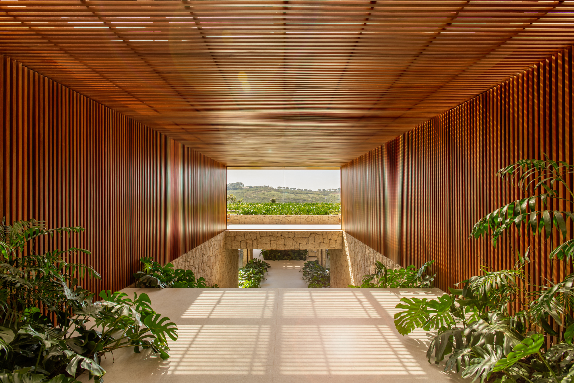Covered walkway under a ribbed timber ceiling framing a view out to the fields