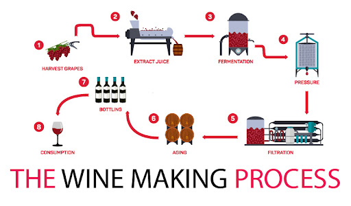 various steps of processing wine winery bottle of wine wine culture grapes