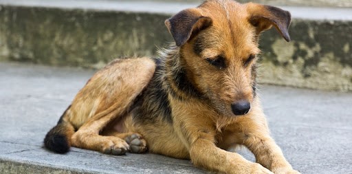 Nurturing and caring needed