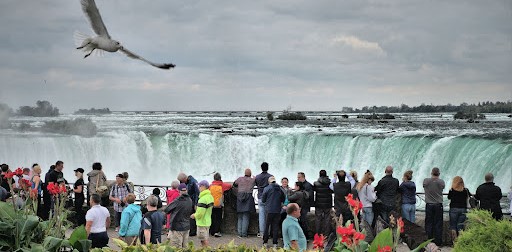 A view of waterfall