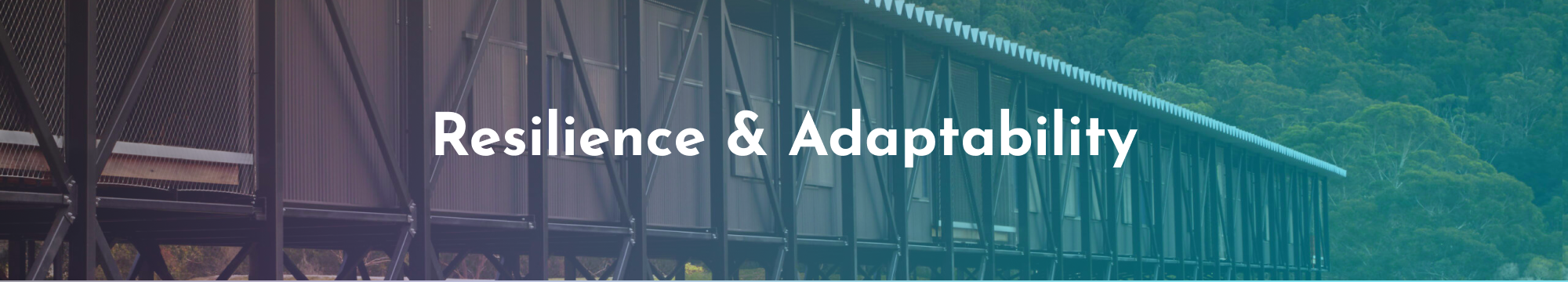 Resilience & Adaptability