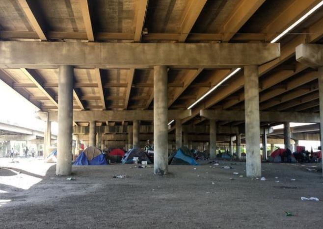 decision makers, urban planning, landscape architecture