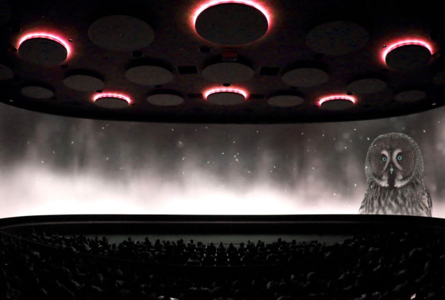 streaming services movie theaters entertainment industry