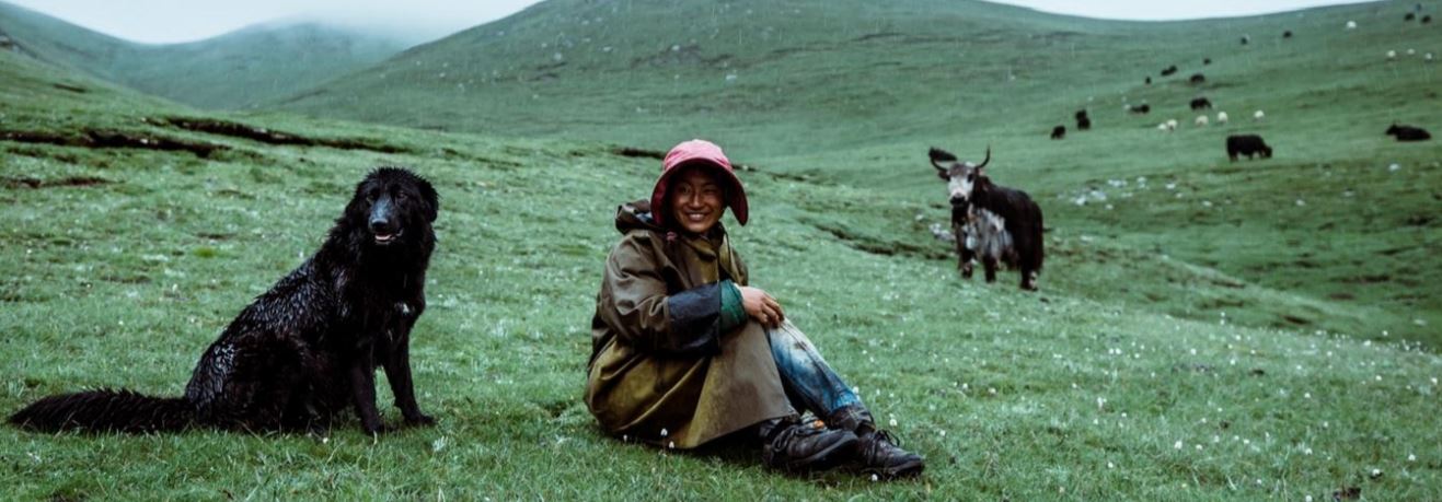 spay neuter zip code email address adoption requirements