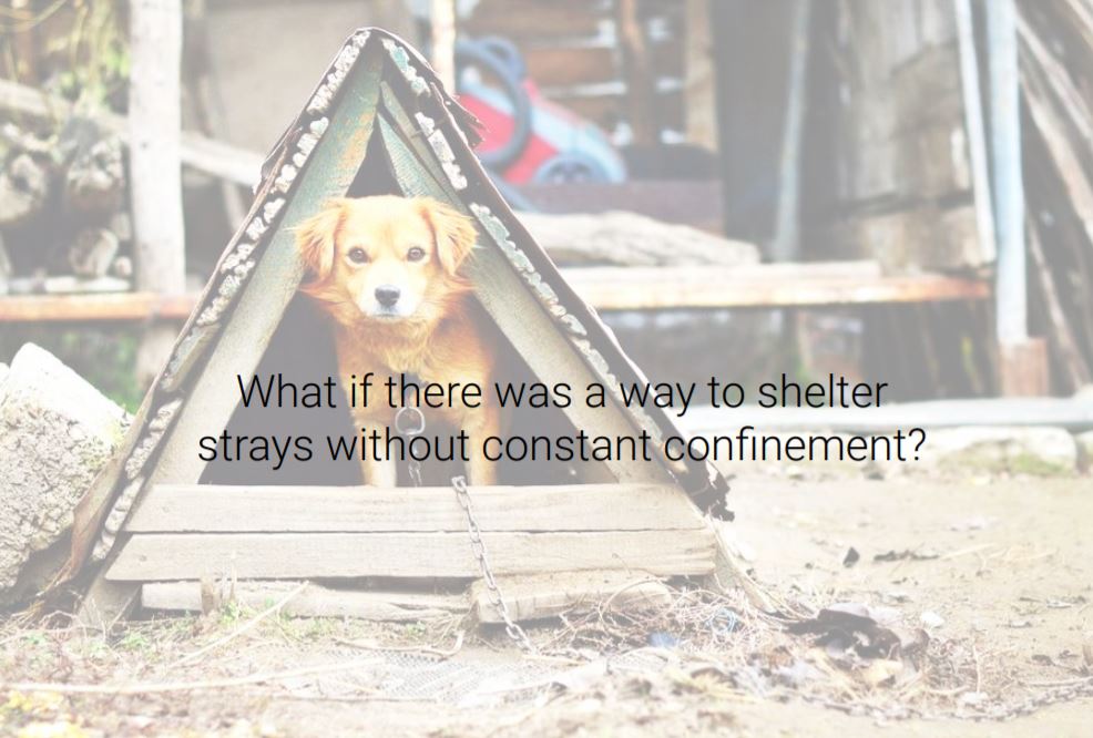 postal code family members pet owners pet care