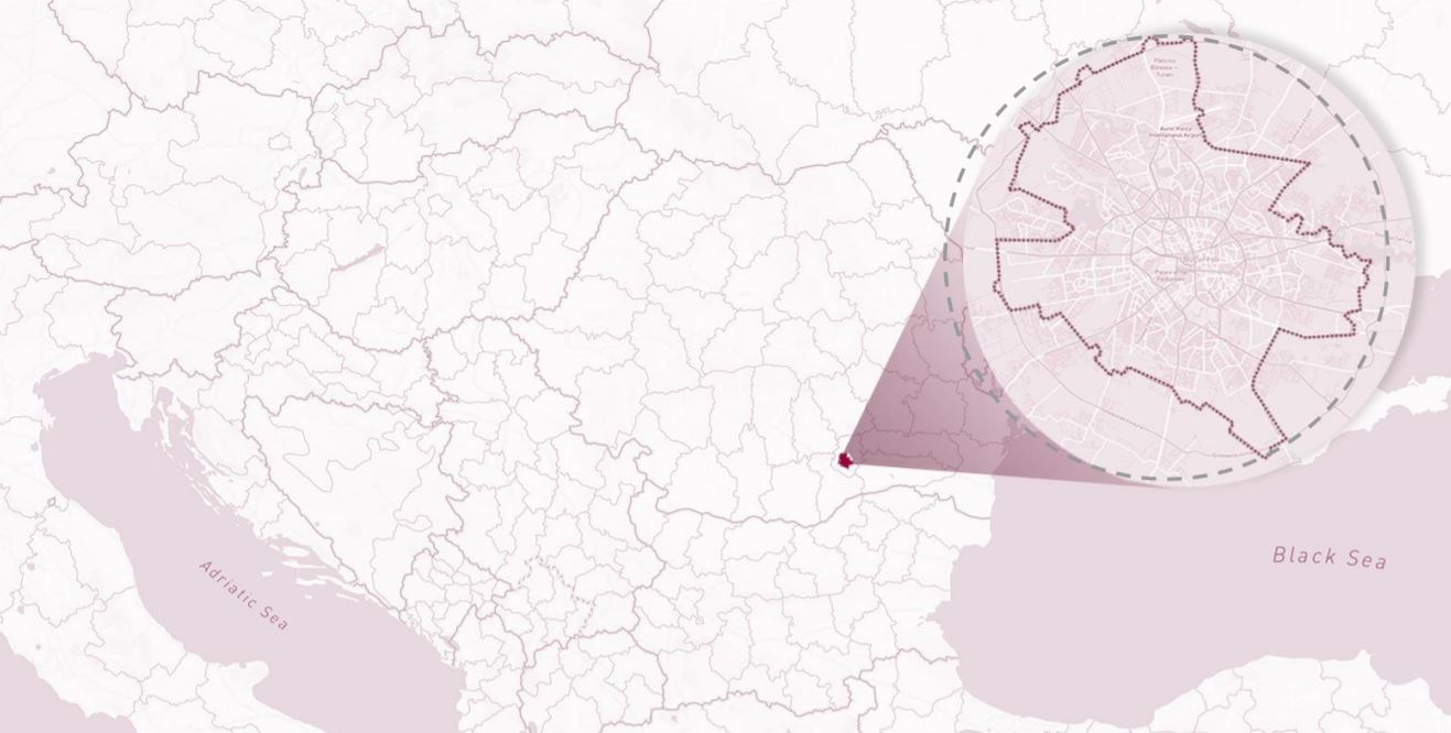 pet adoption animal shelter animal shelters 