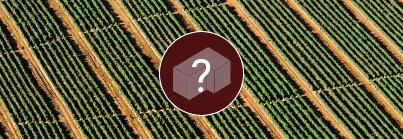 cabernet sauvignon long island