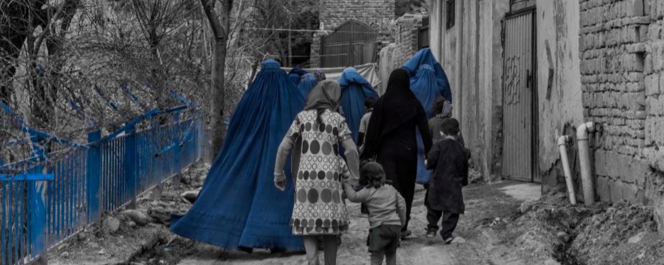 resiliency center resiliency center resiliency center resilience center