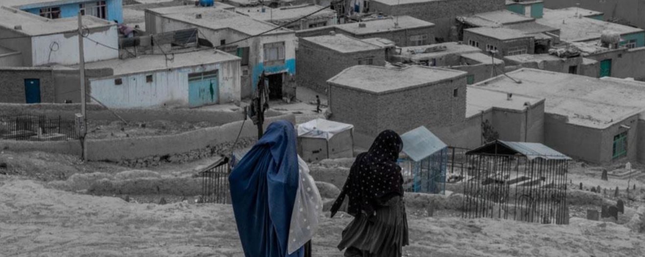 resiliency center resilience center resilience center resilience center