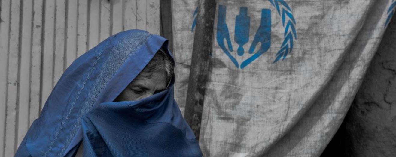 resilience center resilience center resilience center resilience center