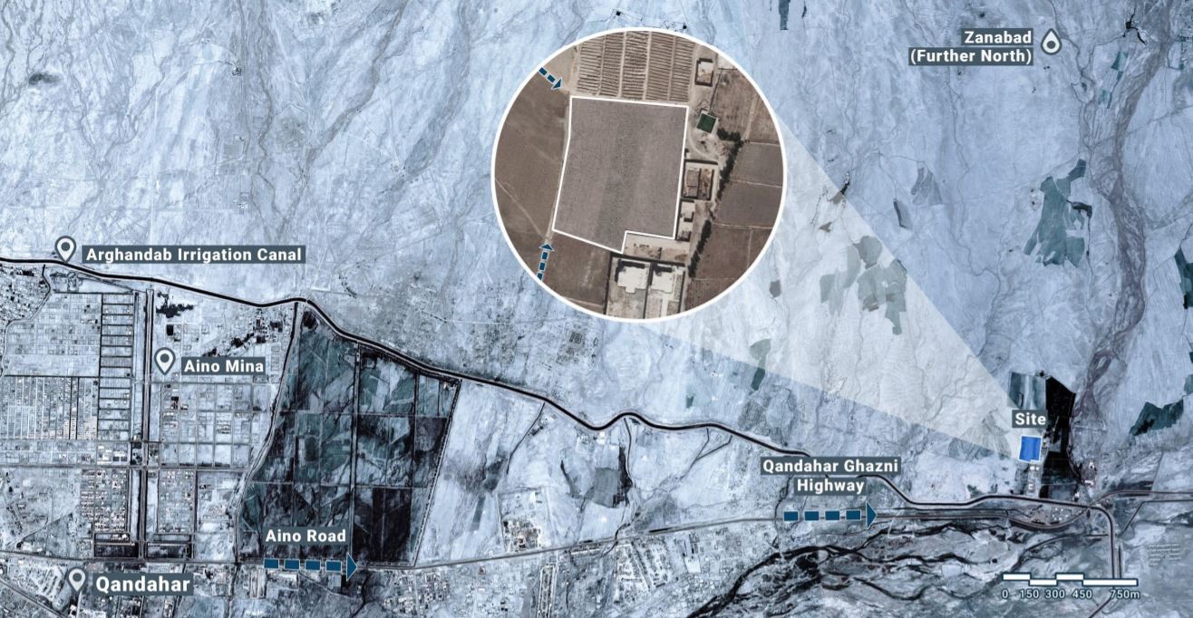 mental health services counseling psychology evidence based