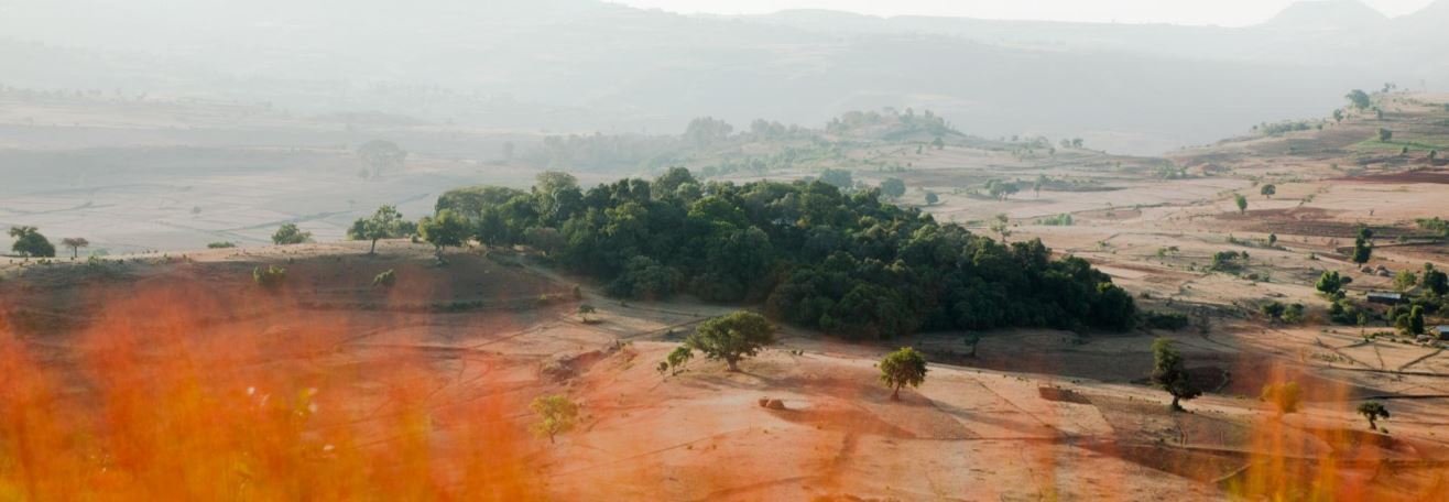 forest chapel forest chapel forest chapel forest chapel forest chapel