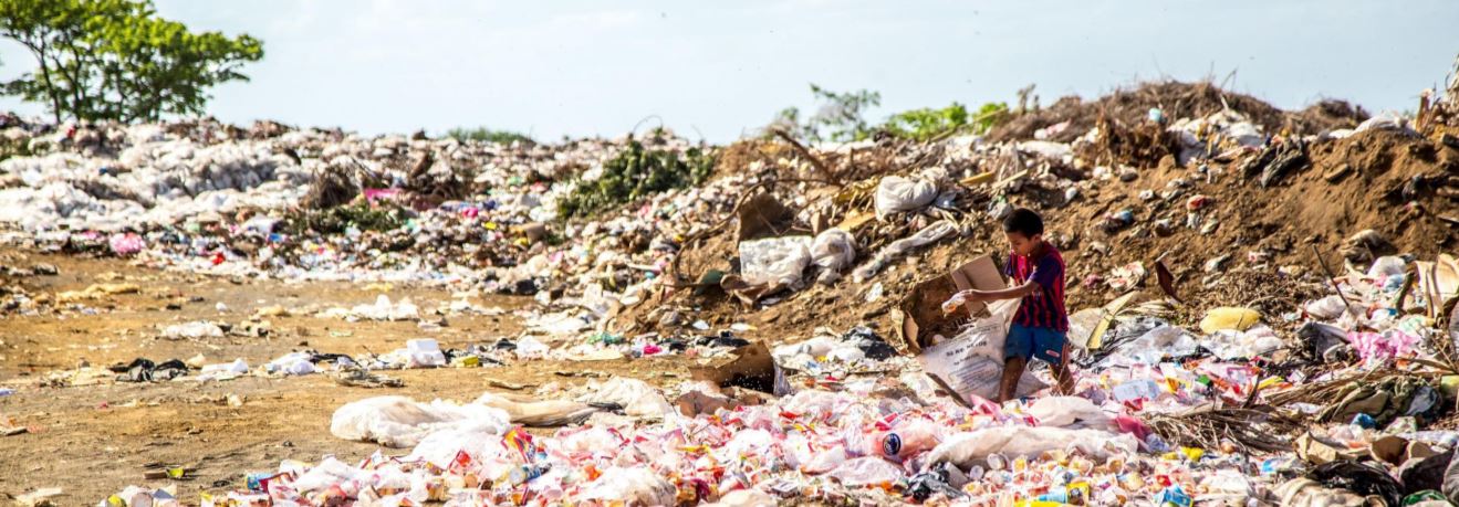 content content content content content content content content content content