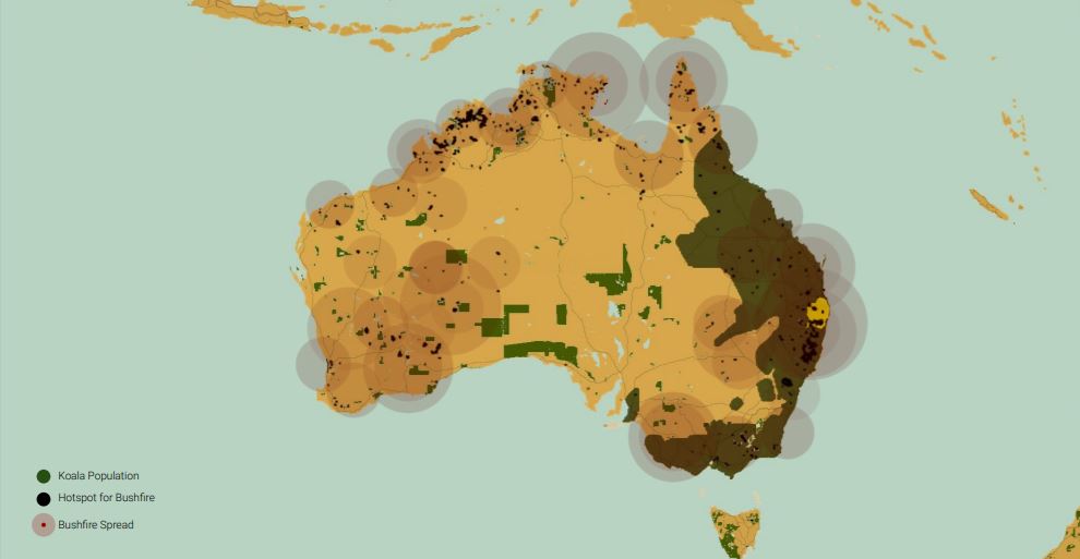 trees koalas wildlife parks koala numbers water requirements australia koalas