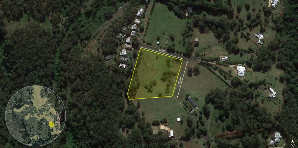 tree dwelling conservation status conservation efforts female koalas