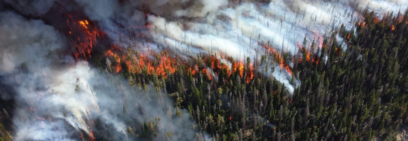 equal justice initiative memorial design memorial design memorial design