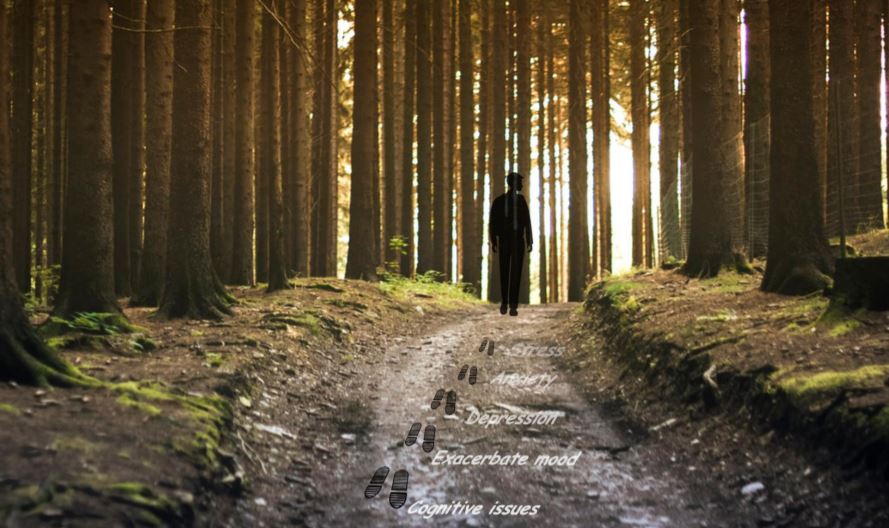 in person in person in person in person in person in person