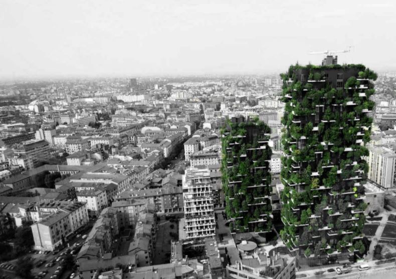 forms of life forms of life recovery rates human connection water features