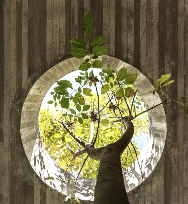 human evolution connections with nature health benefits health outcomes