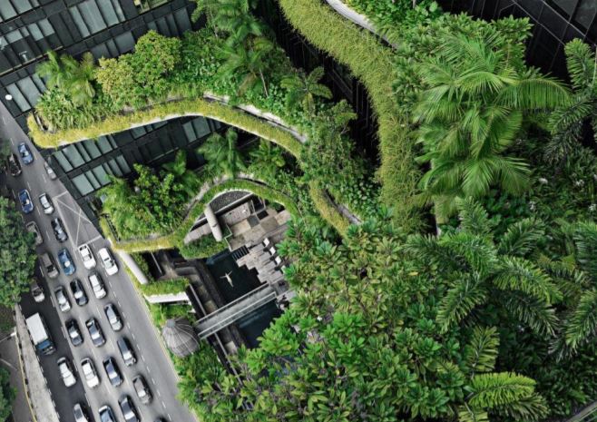 natural world plants animals term biophilia living organisms living organisms biophilia 1984