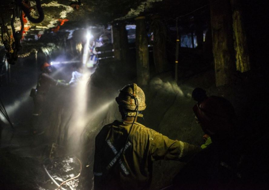 homeownership program human activity tree species habitat habitat