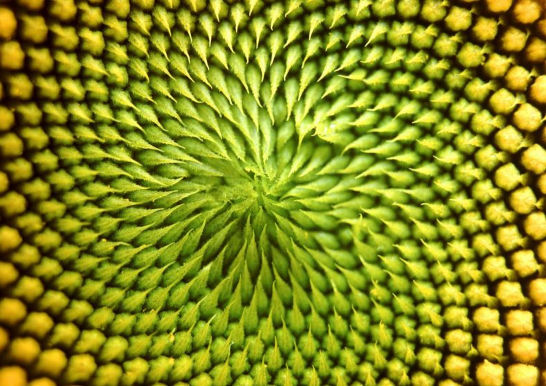 bison trail toadstool road national parks national parks national parks