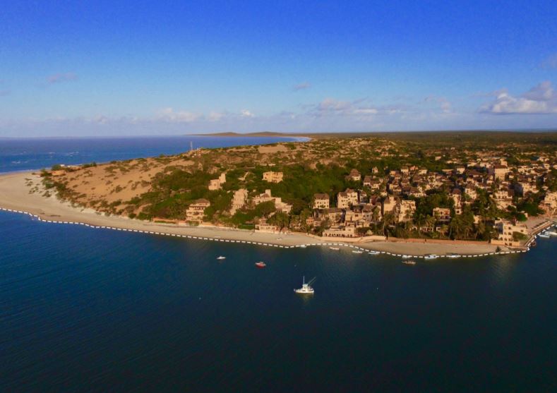 united kingdom species information species information social media 