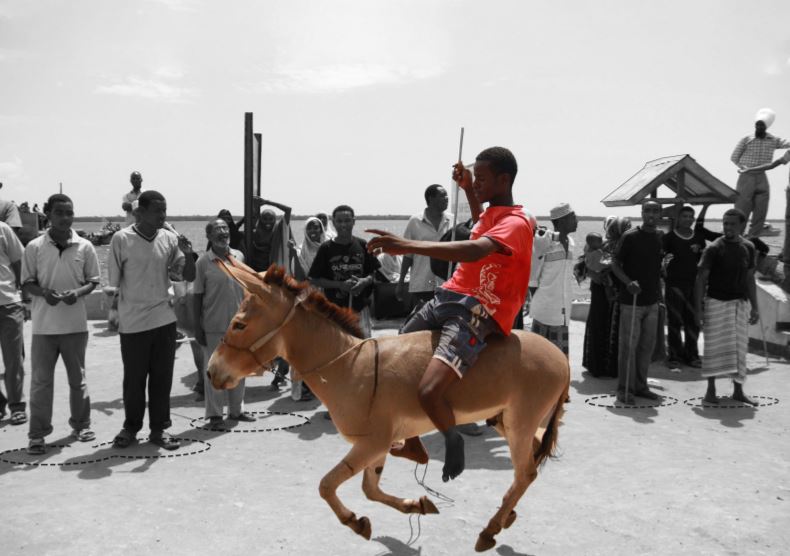 project reviews project reviews project reviews project reviews project reviews