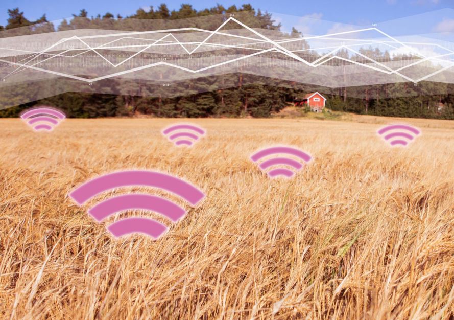 phone number phone number phone number phone number phone number