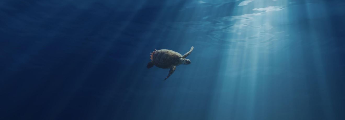 water conservation water conservation water conservation water conservation  amount of water amount of water water reuse water conservation measures land surface