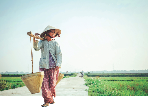 market data market data market data market data