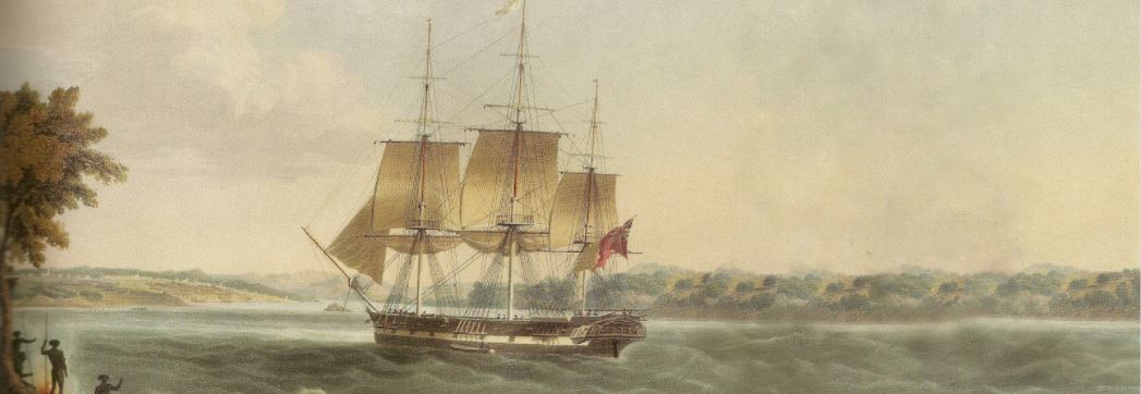 behavioral traits, national geographic, family tree, common ancestor, millions of years, 7 million years ago, hominin species, national geographic, great apes great apes modern humans modern humans charles darwin fossil record fossil record homo erectus human lineage  human ancestors modern human modern human, national geographic, physical and behavioral