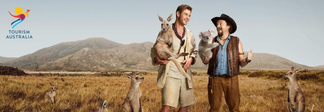  information hominins culture videos evidence lineage apes theory more questions lineages understanding use share a common ancestor, common ancestor, human fossils upright walking fossil evidence homo species human origins primate species origin of species stone tools genus homo human brain brain size