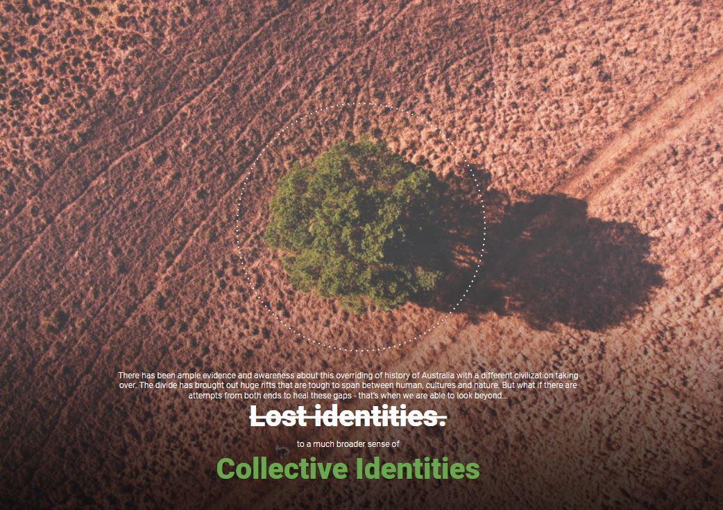 national geographic, family tree, hominin fossils, human groups animal bones human society human skull fossil discoveries human populations human genome human genomes early humans